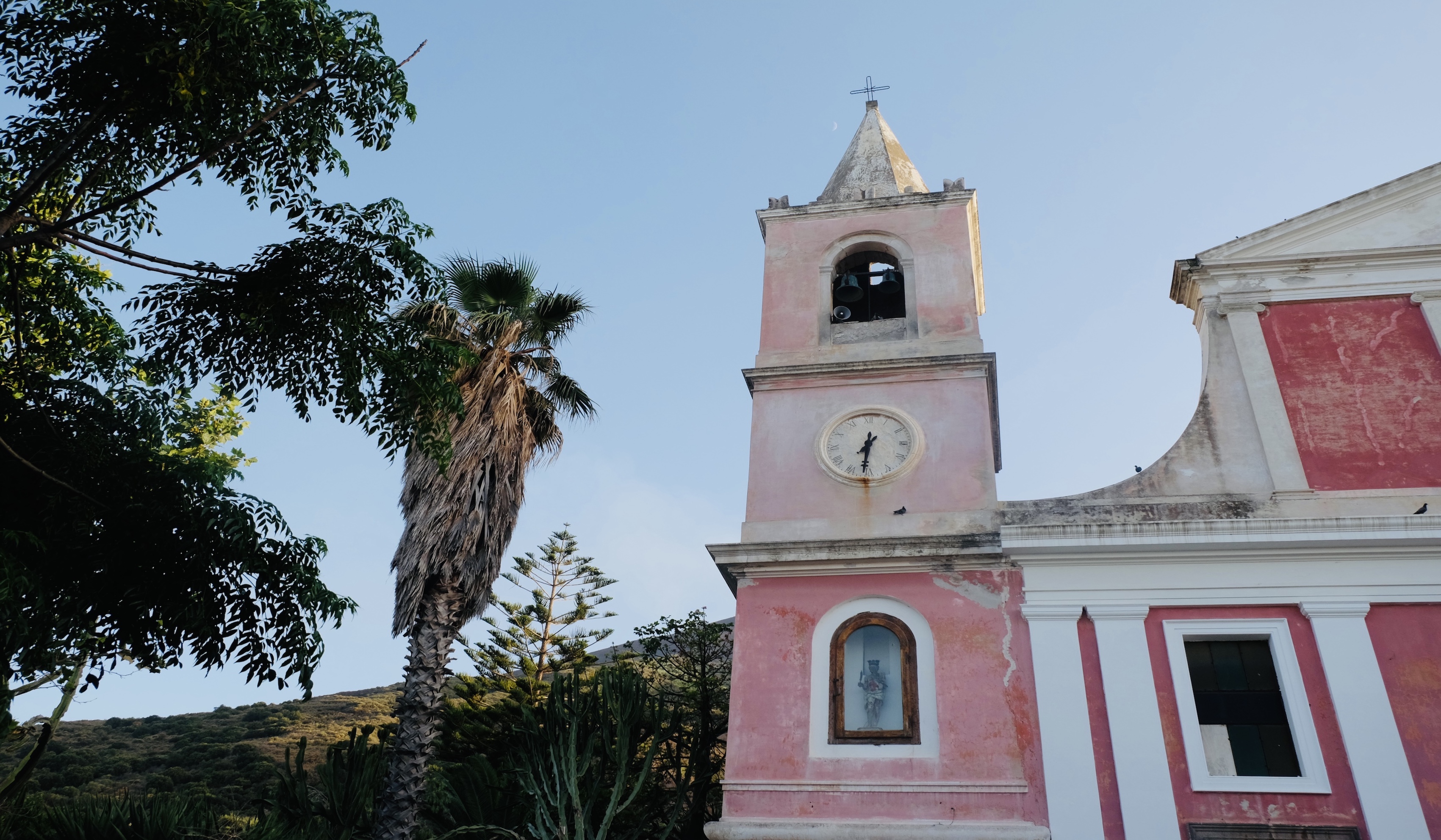 A pink church with a bell tower stands beside tall palm trees under a clear blue sky.